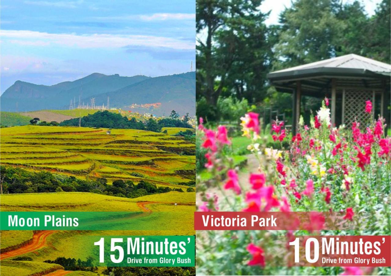 Glory Bush Boutique Villa นูวาราเอลิยา ภายนอก รูปภาพ