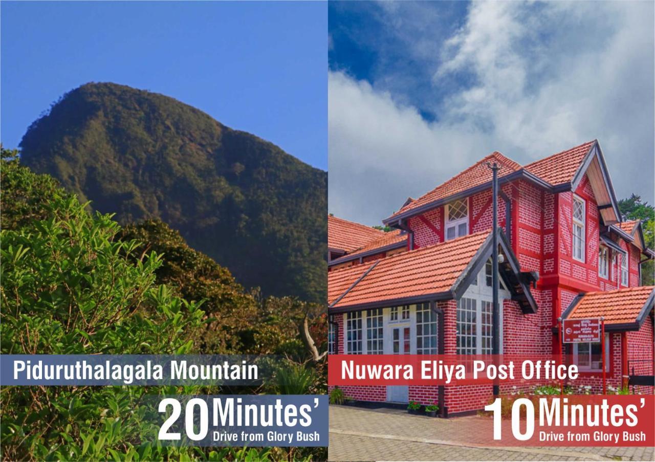 Glory Bush Boutique Villa นูวาราเอลิยา ภายนอก รูปภาพ