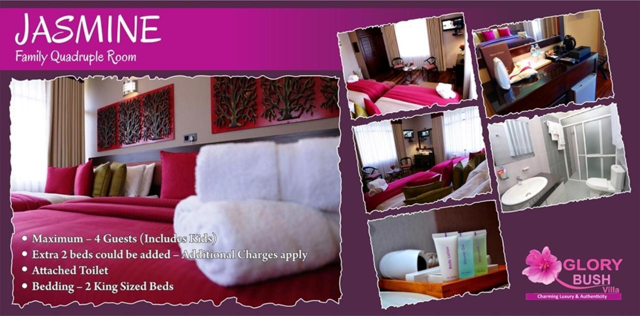 Glory Bush Boutique Villa นูวาราเอลิยา ภายนอก รูปภาพ