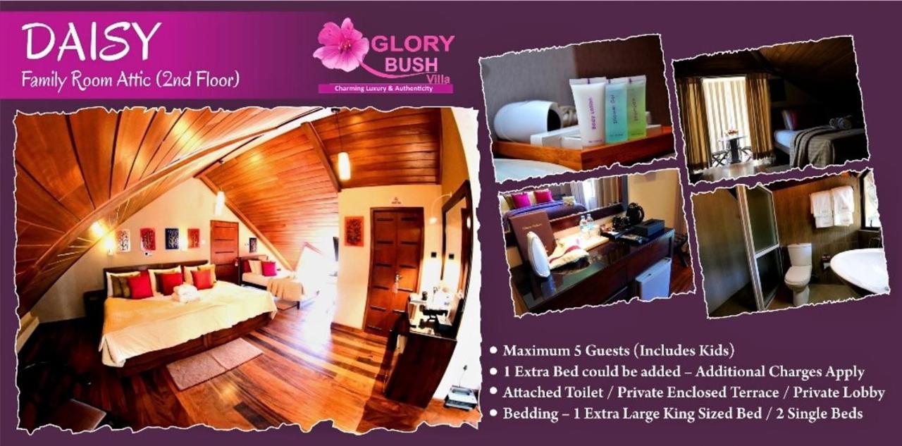 Glory Bush Boutique Villa นูวาราเอลิยา ภายนอก รูปภาพ